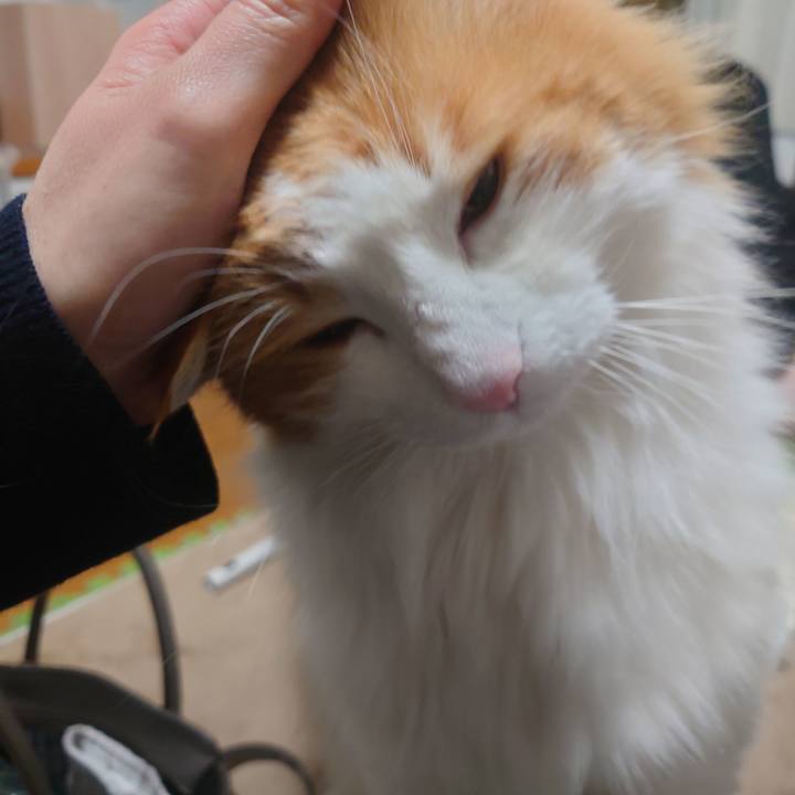 D34937eb ee27 4297 8d63 923ba8a13503 1645704591051