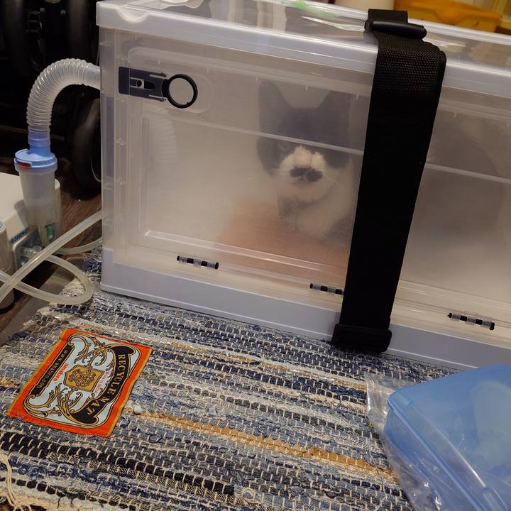 D3495f57 77c2 4748 aa66 c340b59ba877 1769314309862