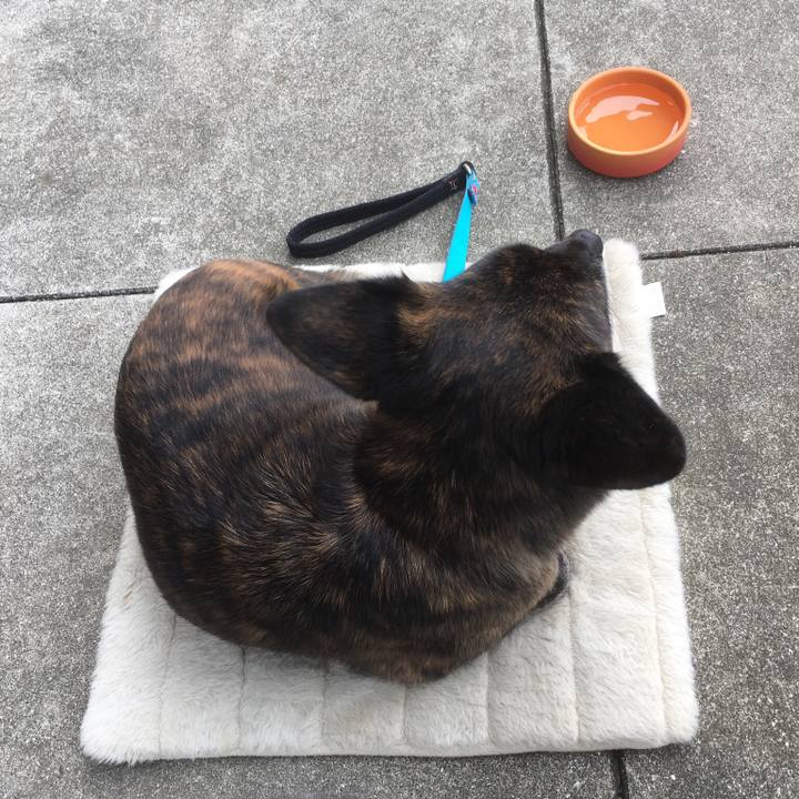 D34972c9 cd92 4442 8d48 cdc35ccf622e 1517373712336