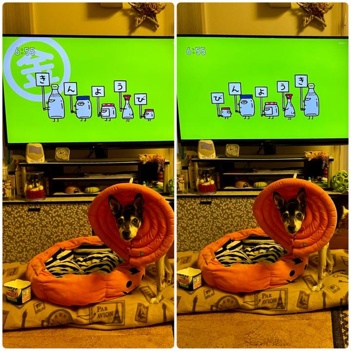 D3498c49 bb4c 4141 85b6 0348e4adce1b 1641506828998