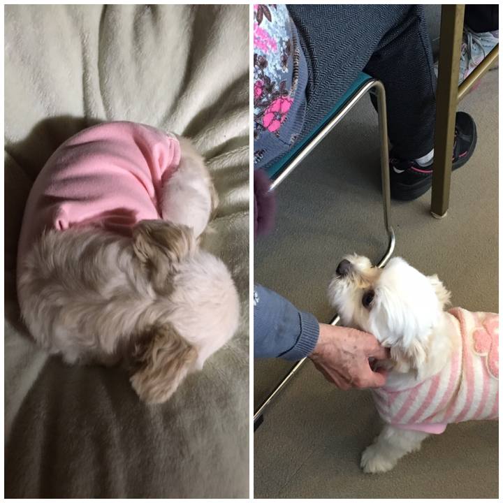 D349ca68 7f98 4523 b1e7 34da00a5c33b 1550053246770