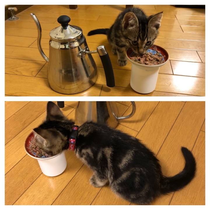 D349d94a c266 4509 af90 7319c81fcba3 1724496907479