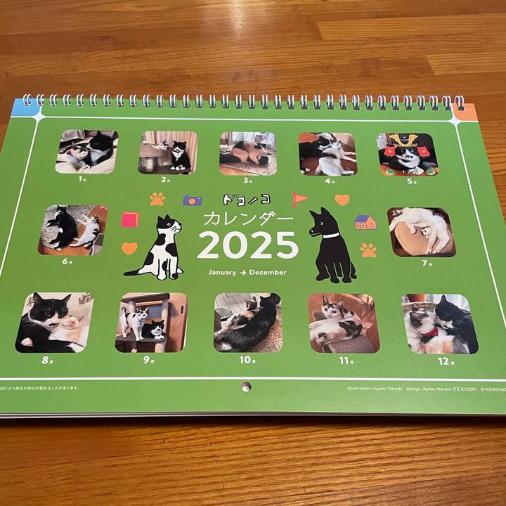 D349def4 ad45 40ed 9cbb ff4aff1893d1 1732165150150