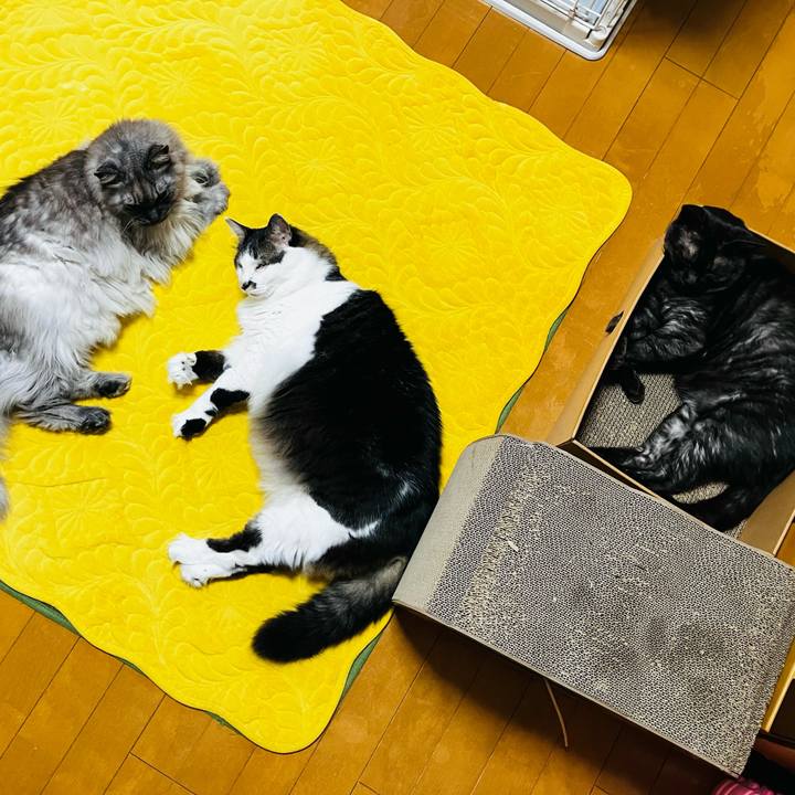 D34a0f20 47f6 47d6 b555 1fd6b493be0e 1739066992074