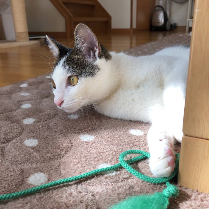 D34a11cd da87 4b23 8c7f bb851b80af62 1580876755171