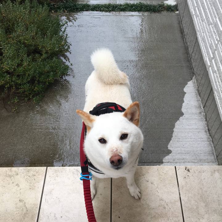 D34a236d 8b77 46f1 9f08 f9c2acec1871 1551586431607