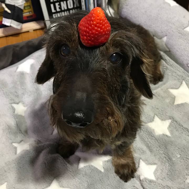 D34a264d f6e2 4f24 b5f7 9b18aee3858d 1554386504838