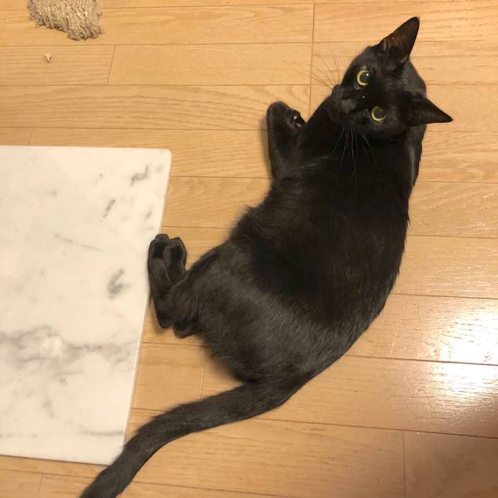 D34a4ee2 0554 465e 8fcd 473a61bb61d6 1566831228318