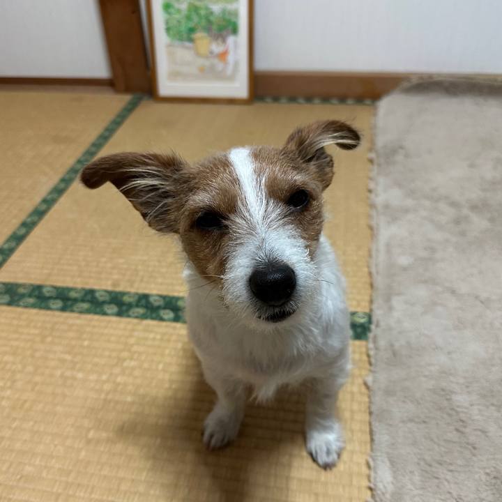 D34a5610 ad85 4dac bef9 be6e133f0130 1766526161405