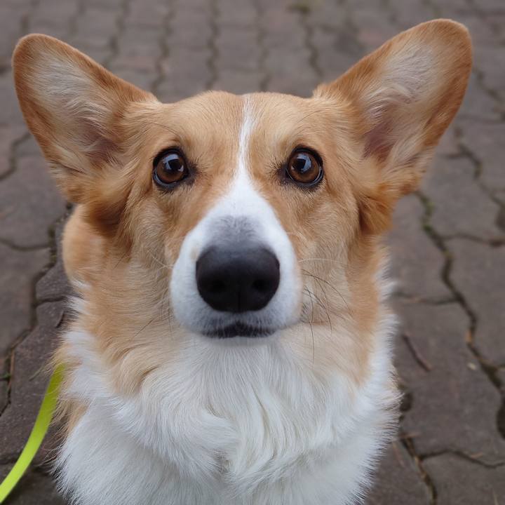 D34a6dee ec84 4f7b 871a 5e4e18c4acbb 1775087280927