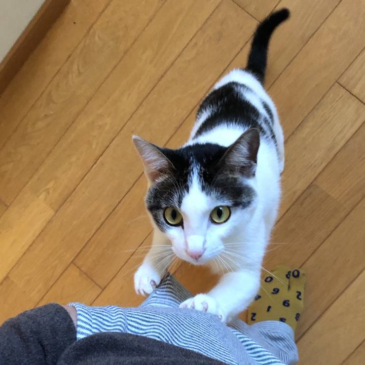 D34a8e7c a2fe 4700 87ba 45e5b0795d01 1603497560383