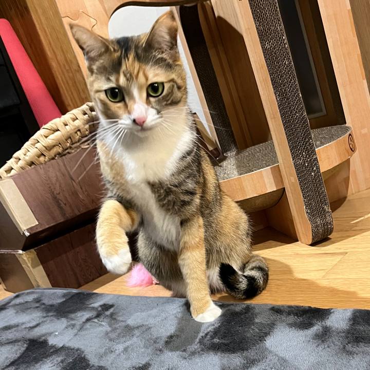 D34ad446 7022 45f9 b723 efd5925eac92 1645452440885