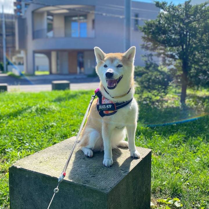 D34aed3d 7771 45fb 870d 0cf7c6711932 1693358695556