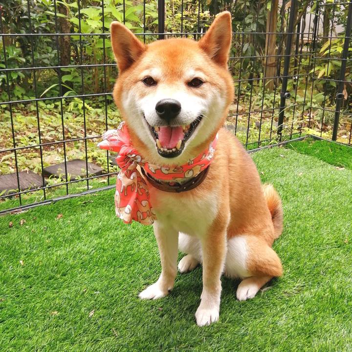 D34b1009 9d26 4883 8ea1 5ecd4412e875 1655443953715