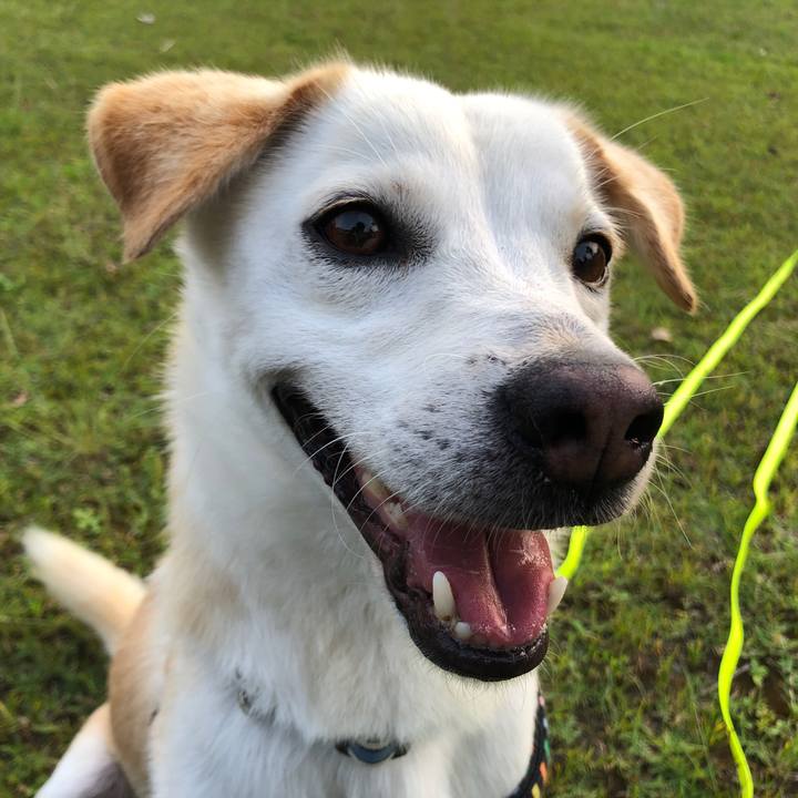 D34b24ba 6218 4e6c 8d1e 32392b15f763 1623326688206