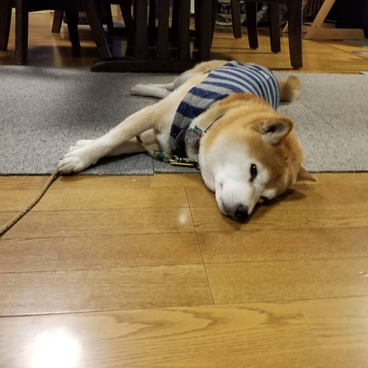 D34b2dc7 d4e8 4acd a7e1 ab41e6fc63aa 1611735222064