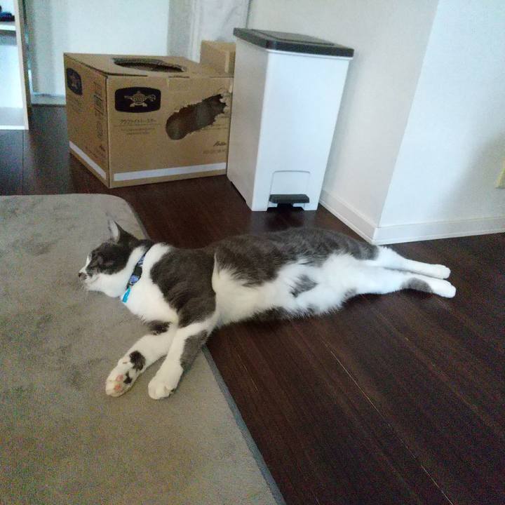 D34b31c8 e56c 4b40 a8bb 5a5756cb0ed2 1606612356198