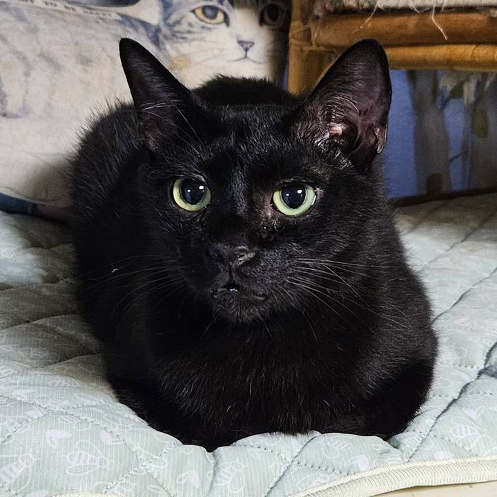 D34b3c83 ec13 4ef1 9478 8c5b1a9dc313 1754393635951