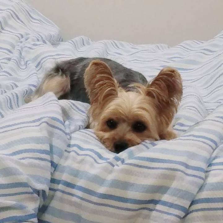 D34b468c 2512 4e2c a459 622fc8c1664a 1657363453731