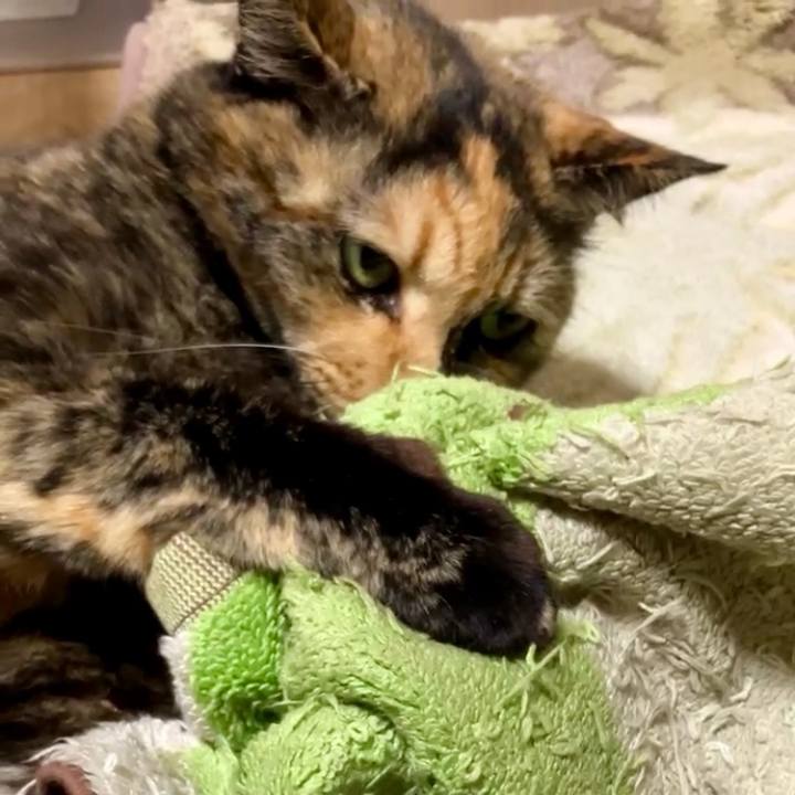 D34be97f ea8e 454f 9ce7 d38f656dbc57 1731265902061