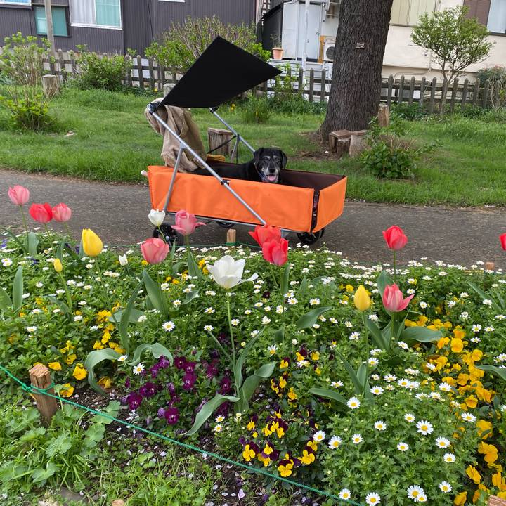 D34c0101 fe40 4287 a4e8 69f70307986e 1712850315845