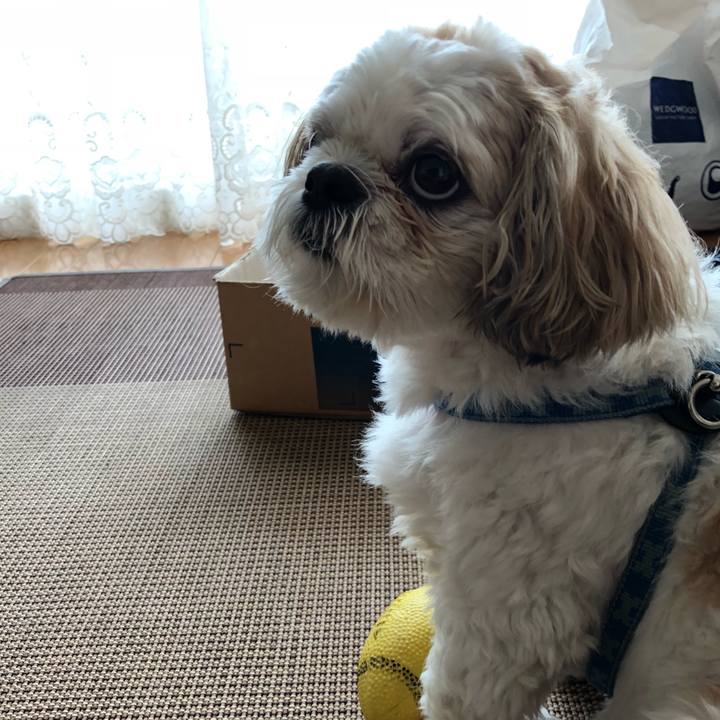 D34c084e aa4a 42b3 a13a 86a1d52856be 1531172418751