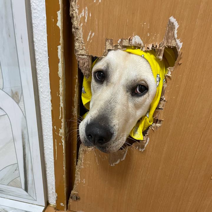 D34c24e8 3a59 4299 a34e d94672841827 1633348890143