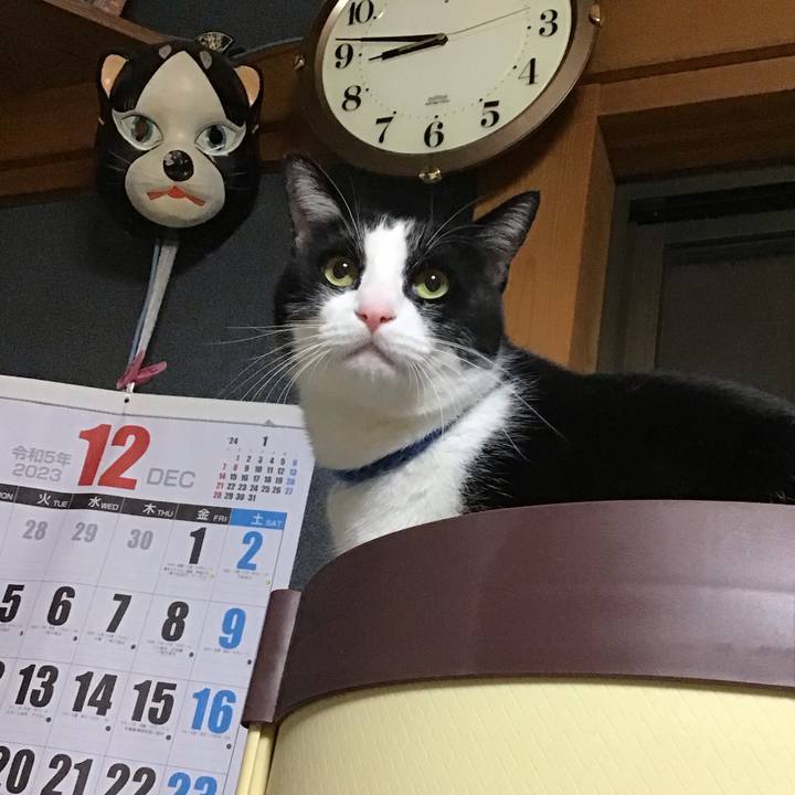 D34c28cc eba3 42d3 8d3b 97ba73f1d054 1701433976693