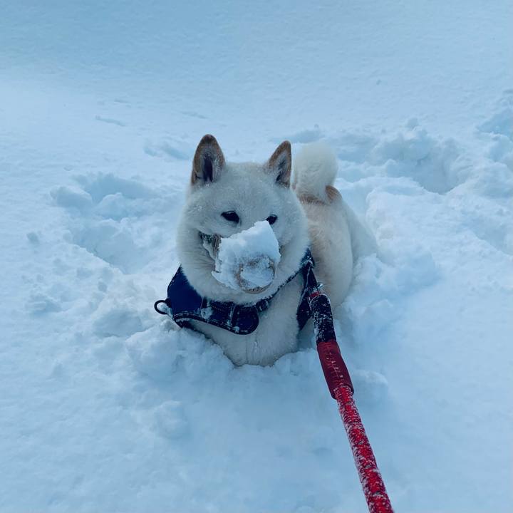 D34c51d8 ef1e 4bfe 9571 a4d146e75897 1645766968191