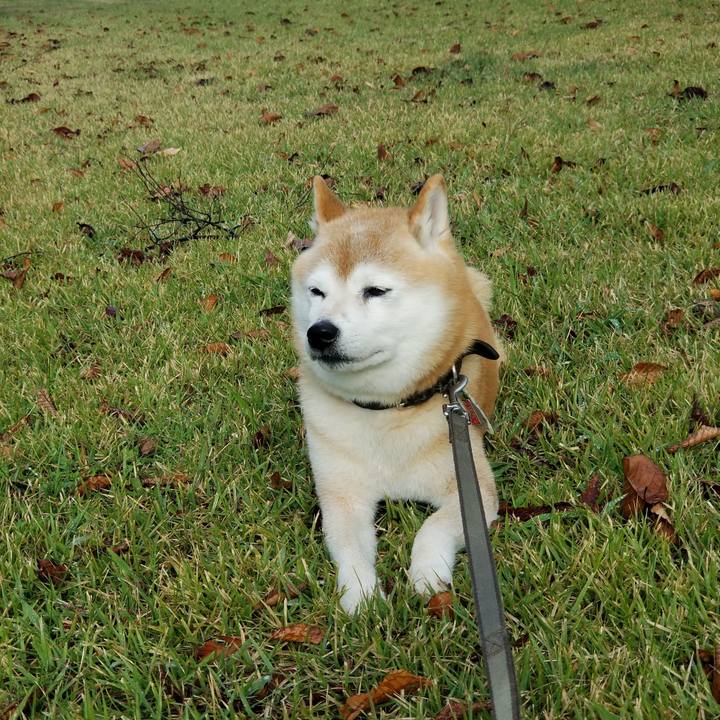 D34c6353 9832 4e7e a6b7 e1544366c0a9 1697346751591