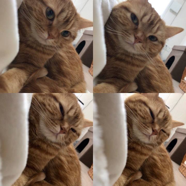 D34c92fd f3a5 429c bf4e 27769c2d1a60 1519810555617