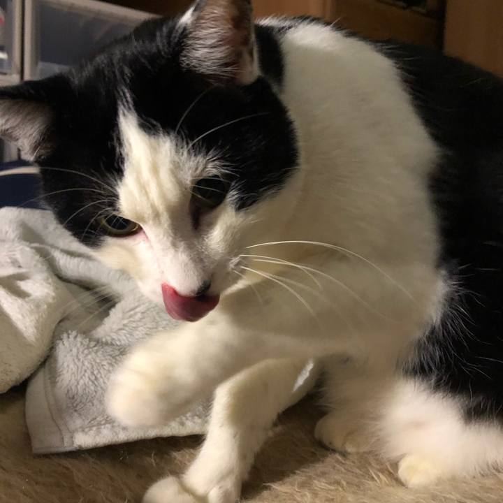 D34cda4f ac02 4696 86ba 8a5c9c498fb0 1546592674438