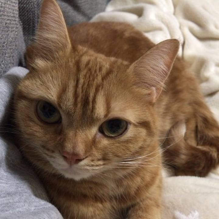 D34cdaf7 b440 4dfc b782 68f29a8fdbe0 1547805321375