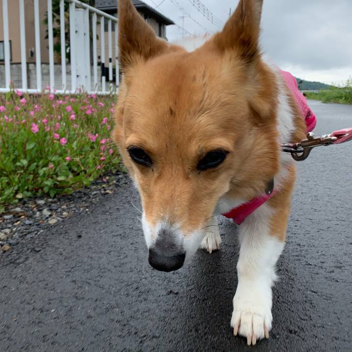 D34cdfda 8448 41fb b597 ffdb39e1f986 1619670236983