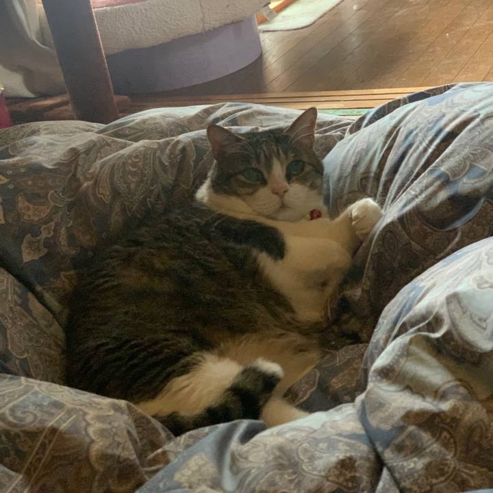 D34d2ab2 24b7 47e1 95ff a770844c9b44 1682806731465