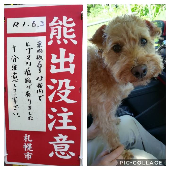 D34d9692 3520 458a b937 a07a52c11106 1560041380065