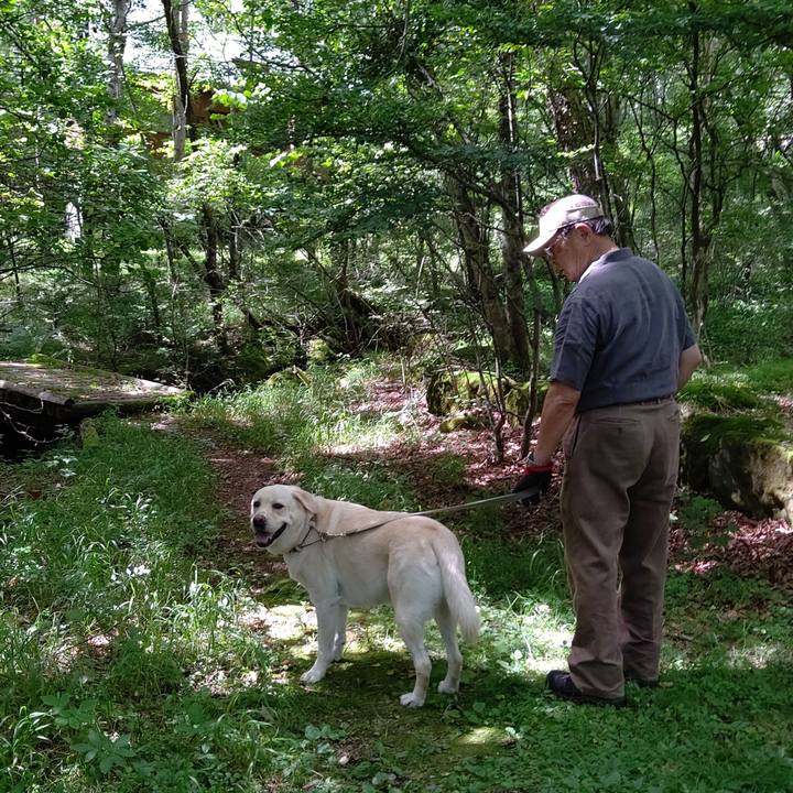 D34da412 121e 44bc aa47 dc1cd657a233 1597026128472