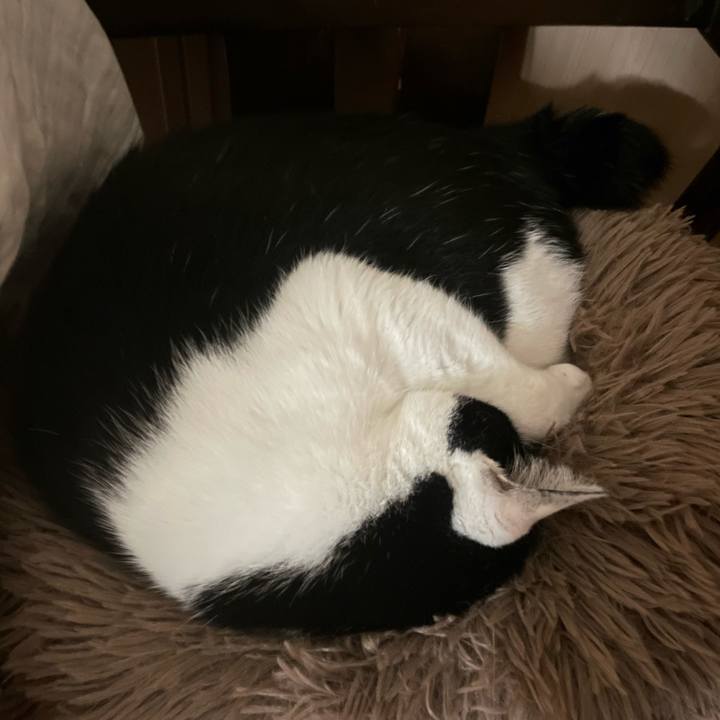 D34dd022 0521 4b83 9fda 226c27f57fe1 1684609070927