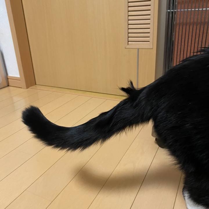 D34dfc1f 9c9c 4bfc 8497 0d9ff81c7333 1673560804990