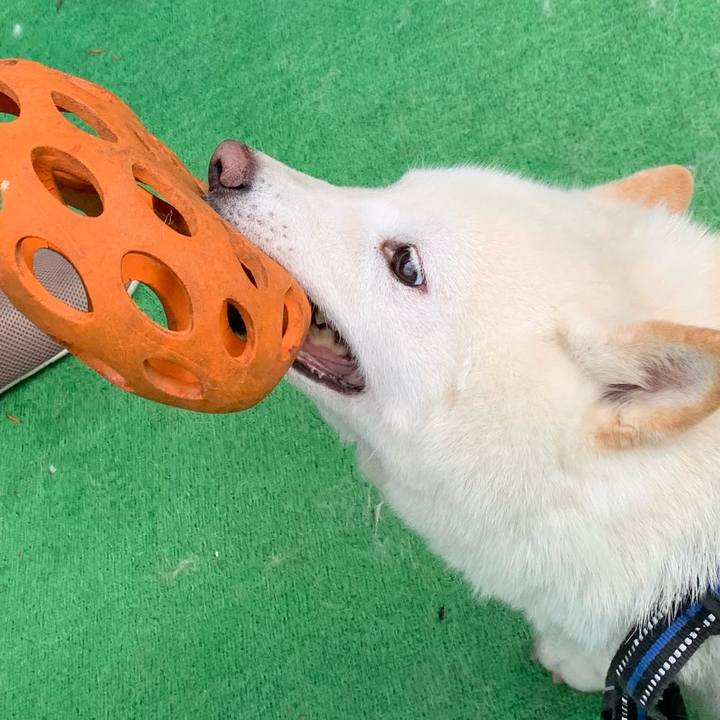 D34e1d7c 6c72 4e81 bb44 f42a79656bee 1655779689717