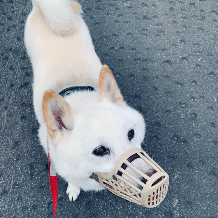 D34e27f2 2d1e 4fb8 8e5c a57d1b76b417 1625259325015