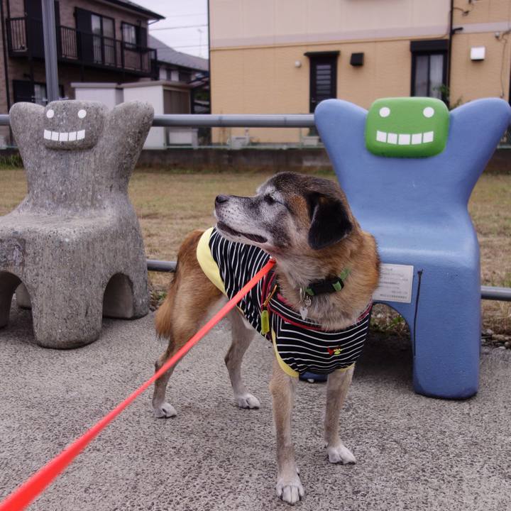 D34e2ba3 95e7 477d aac5 3f5f8b2bc75c 1571276691369