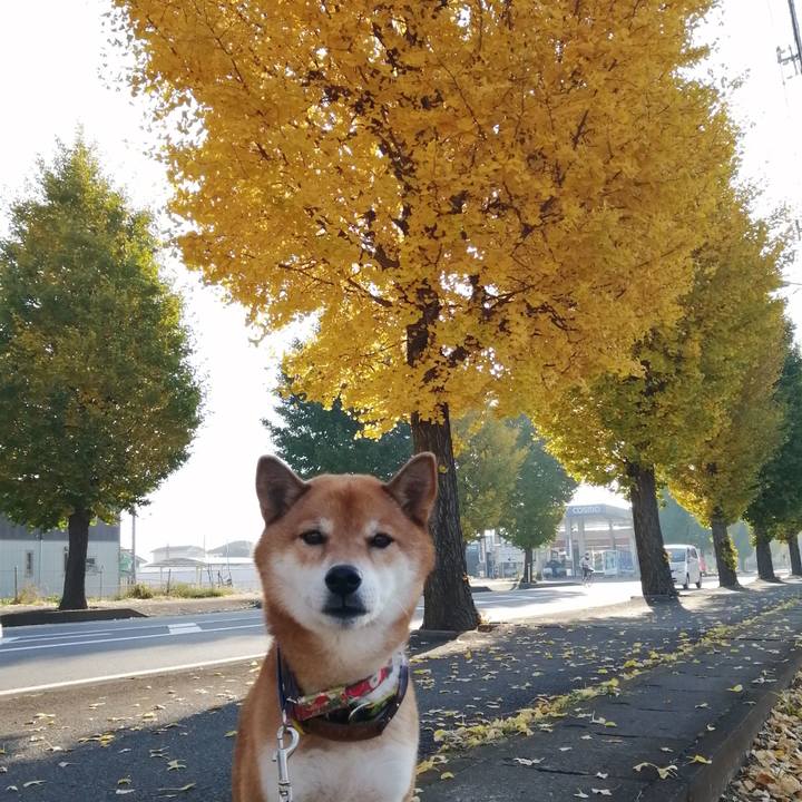 D34e43f0 f2fe 49a9 a6e1 fee00bbb8893 1605582580798