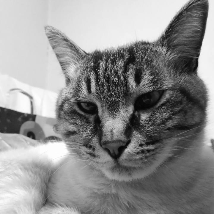 D34e5348 bf60 406d 937a 1409731b2f03 1552041663327