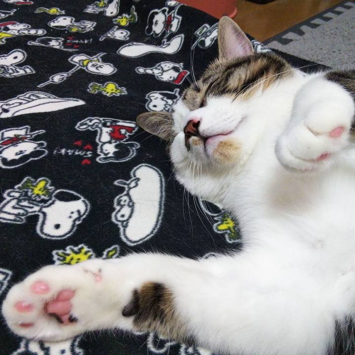 D34e60a3 e2e4 4b32 8fb1 7c2231b169fc 1635505314514