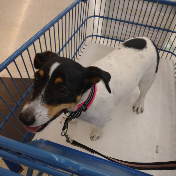 D34e7f68 2f93 4ce9 88e7 ee1add276539 1621920532708