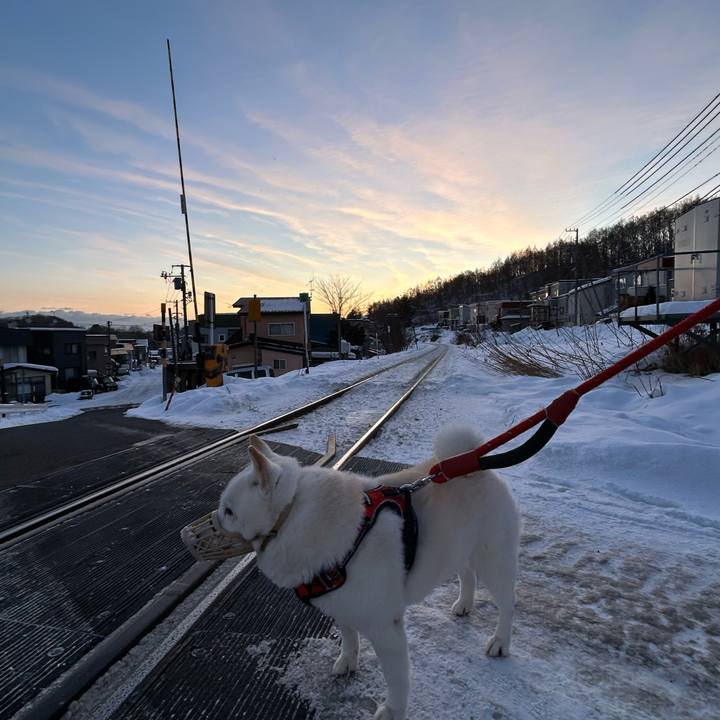 D34e8e4c 2282 418c 8166 ac1aba9d47d6 1766103518939