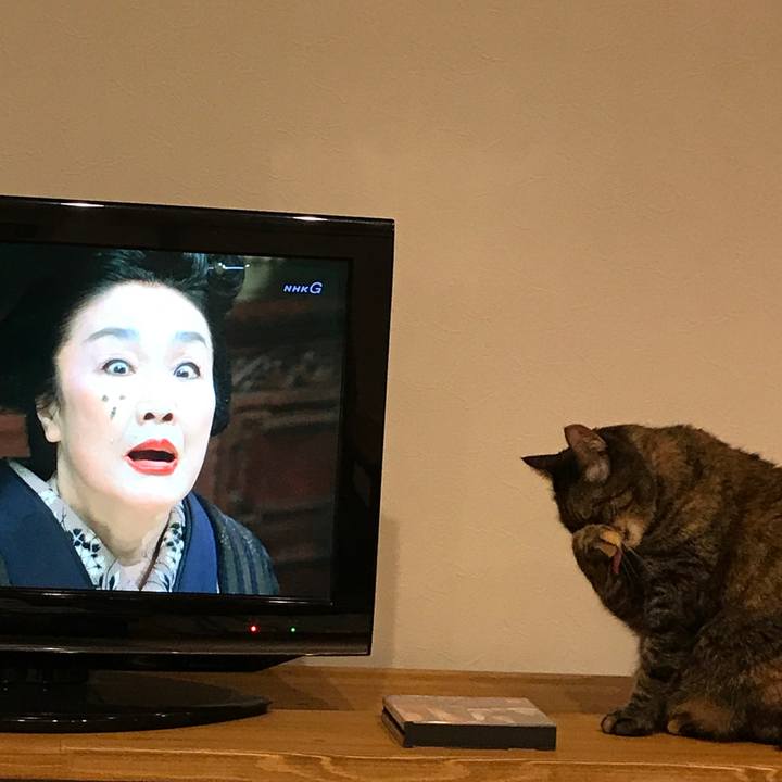 D34ea791 b49e 4d70 b1cd 9bb888388a92 1550491419927