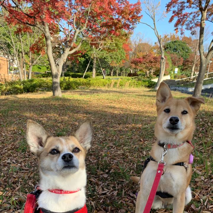 D34eccf1 bcd7 41d8 9429 de7d9e75b505 1575133005020