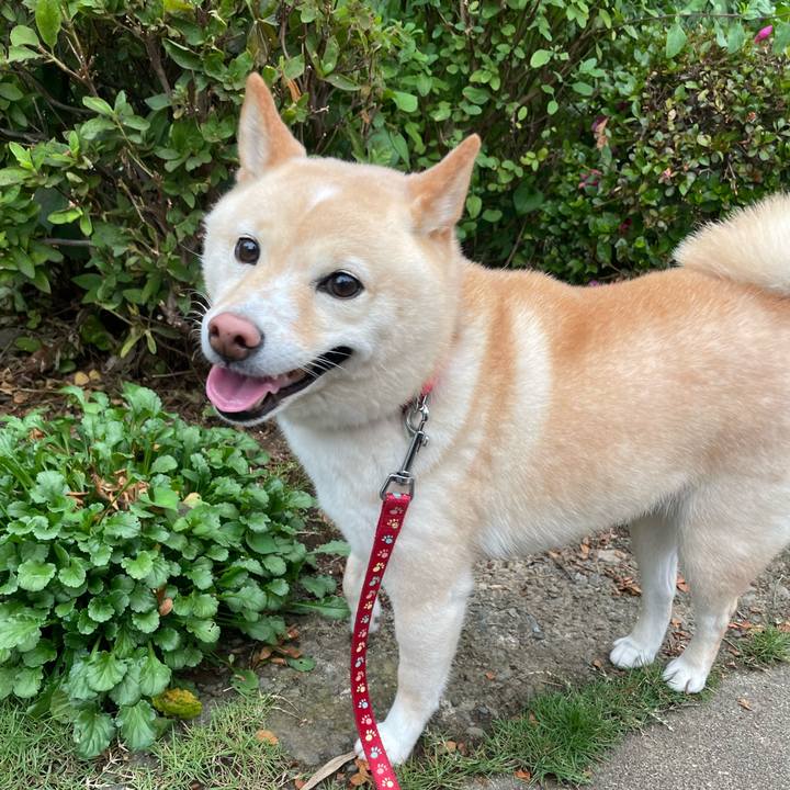 D34ed427 5327 4171 be42 4642b1087e90 1687525994156